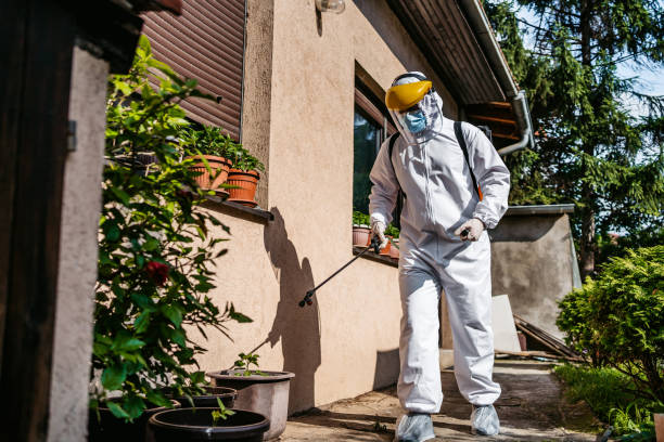 Best Wasp Removal Services  in Troy, PA