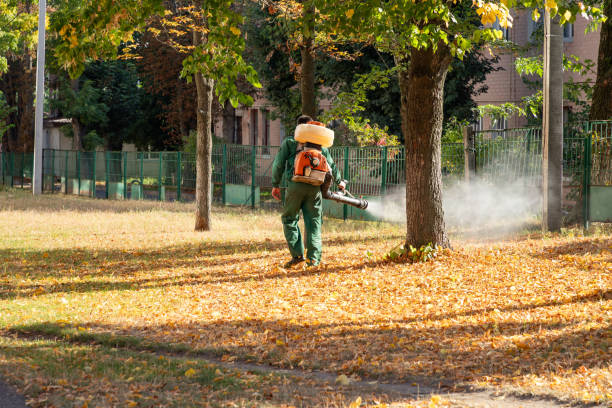 Best Exterminator Services  in Troy, PA